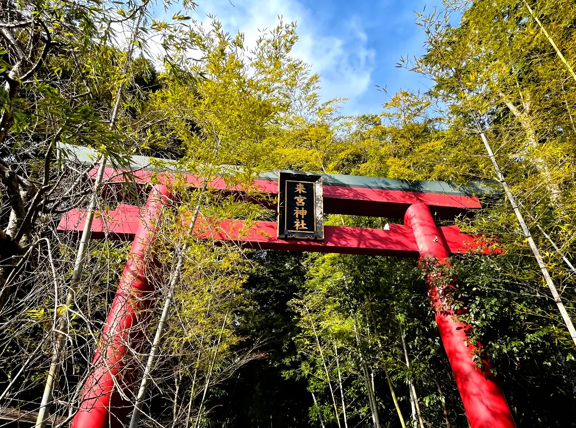 来宮神社　鳥居