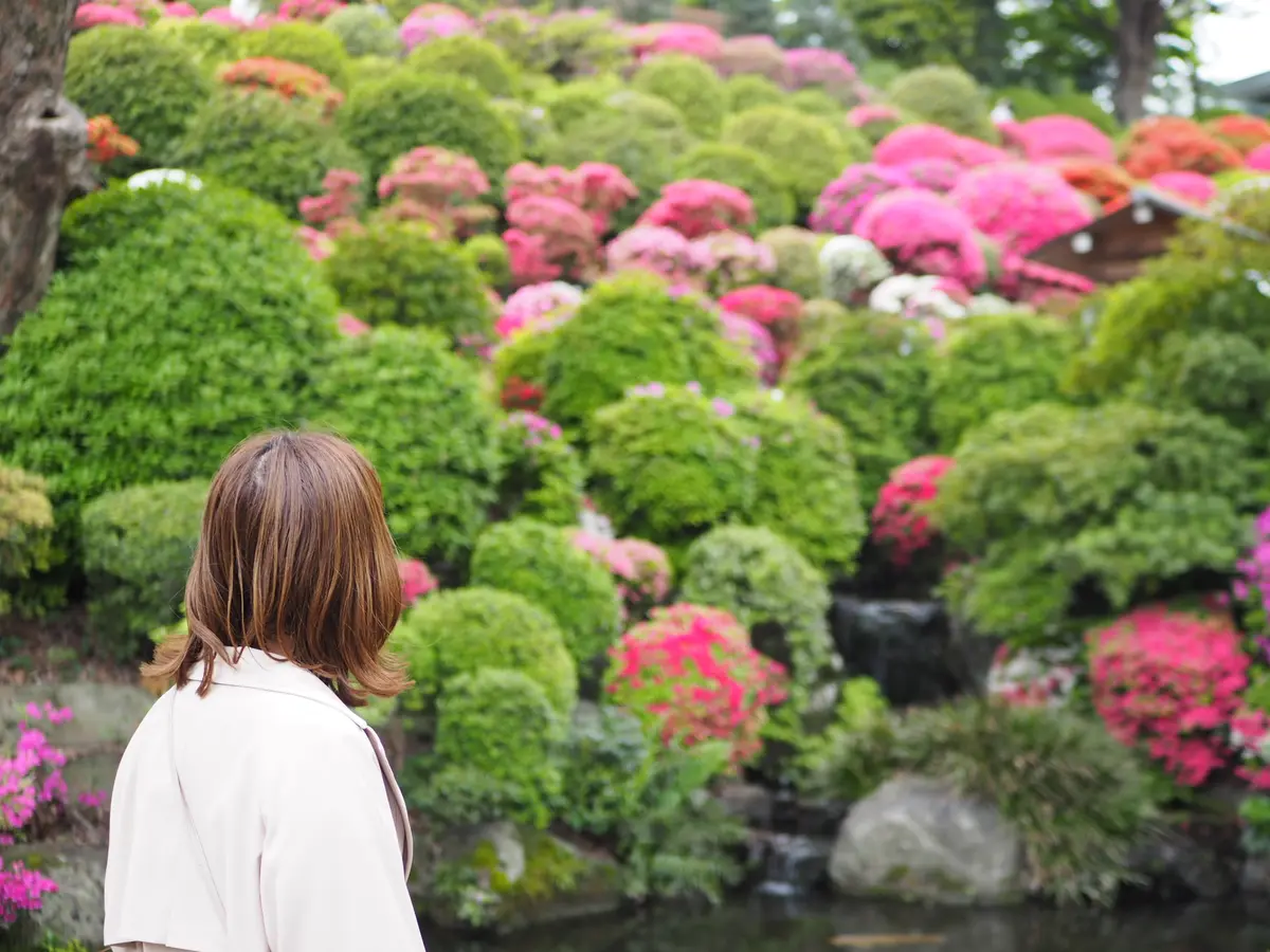 ピンク×緑×鳥居の絶景！今月のお出かけはの画像_10