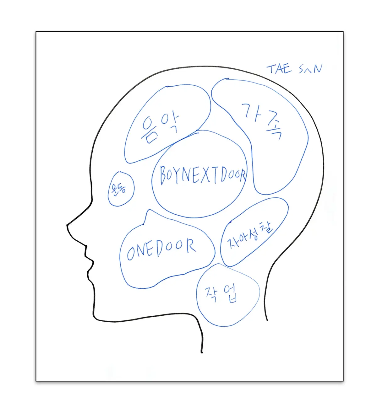 TAESANが描いた脳内図