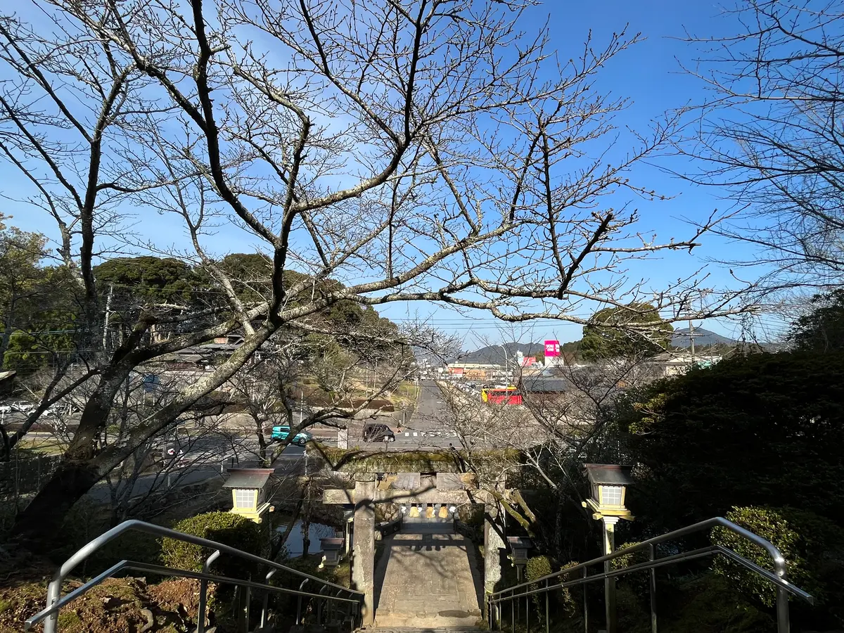 【佐賀】梅雨時期にもピッタリな新おみくじの画像_9