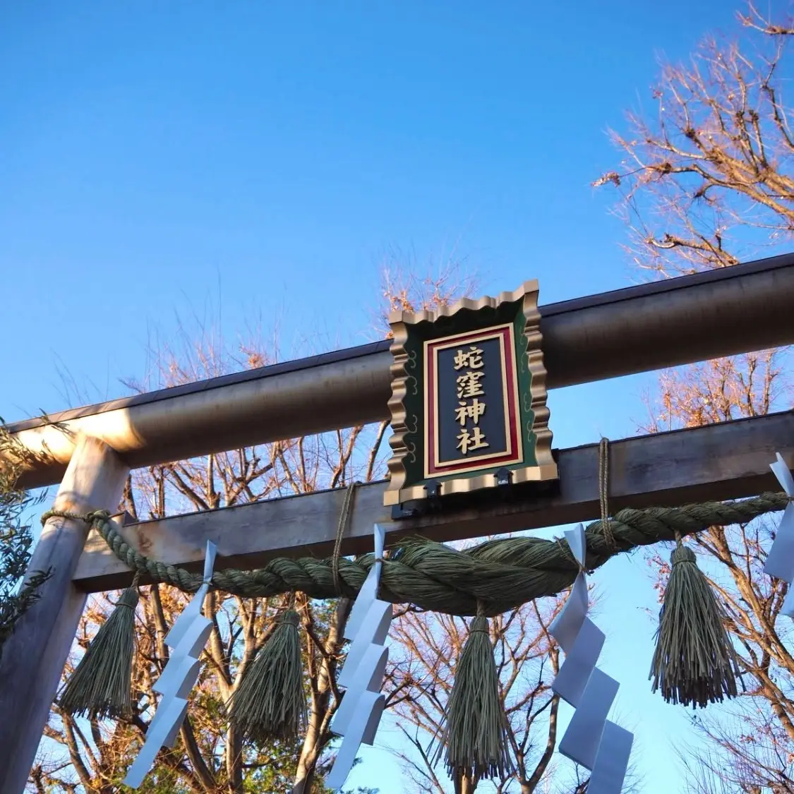 【東京・品川】巳年に訪れたい！蛇窪神社のの画像_1