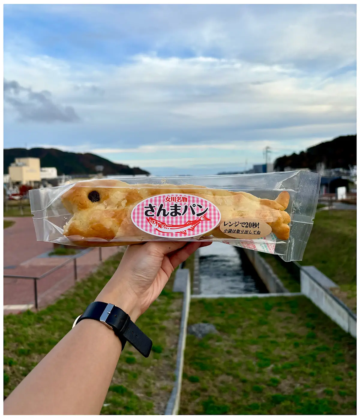 【宮城県/女川】一度は食べて！名物さんまの画像_9