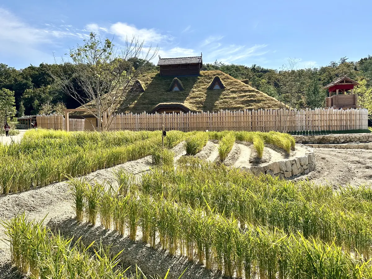 『ジブリパーク』第2期エリア「もののけの里」に広がる田園風景