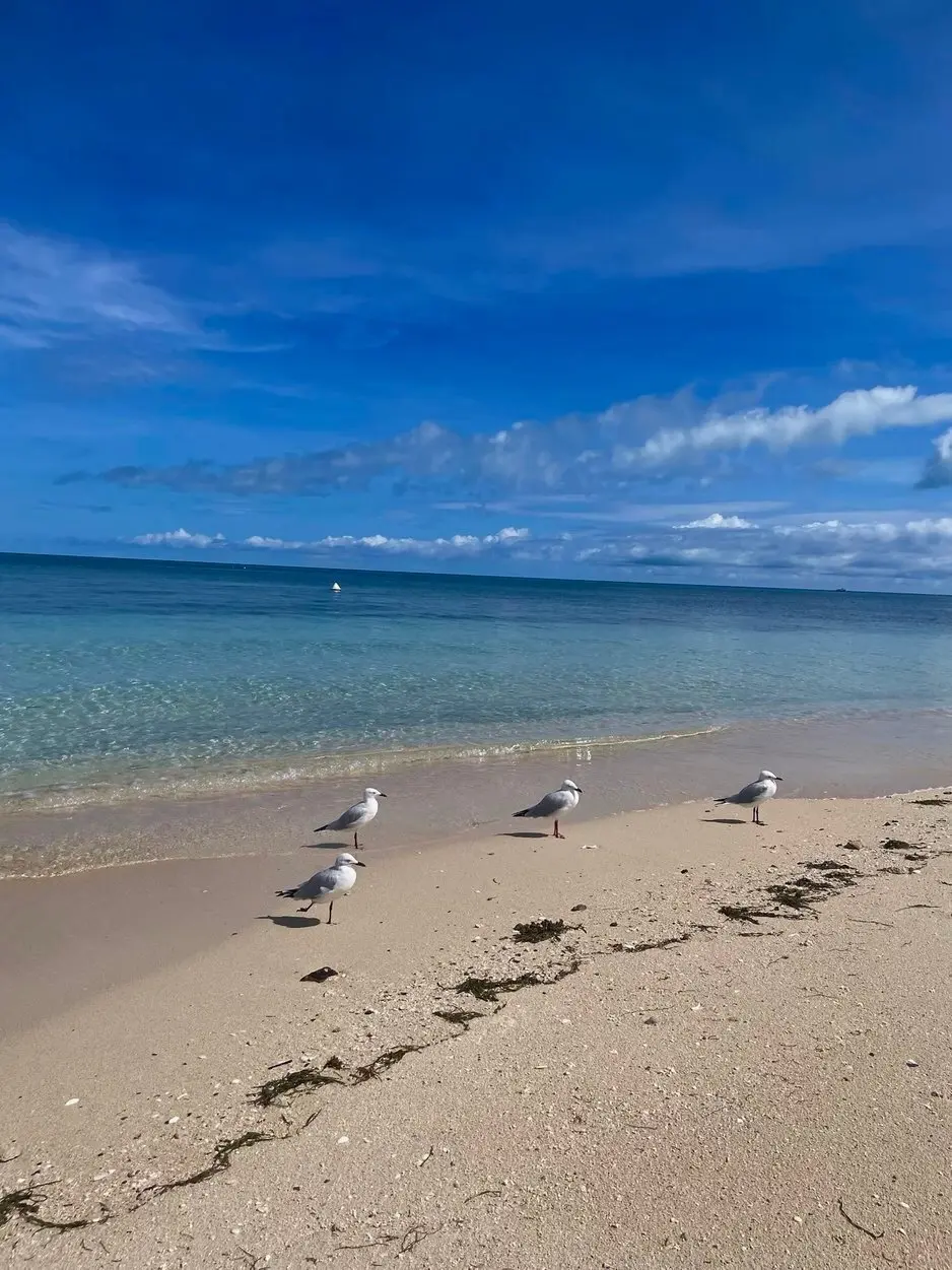 【オーストラリアケアンズ】海外旅行初心者の画像_7