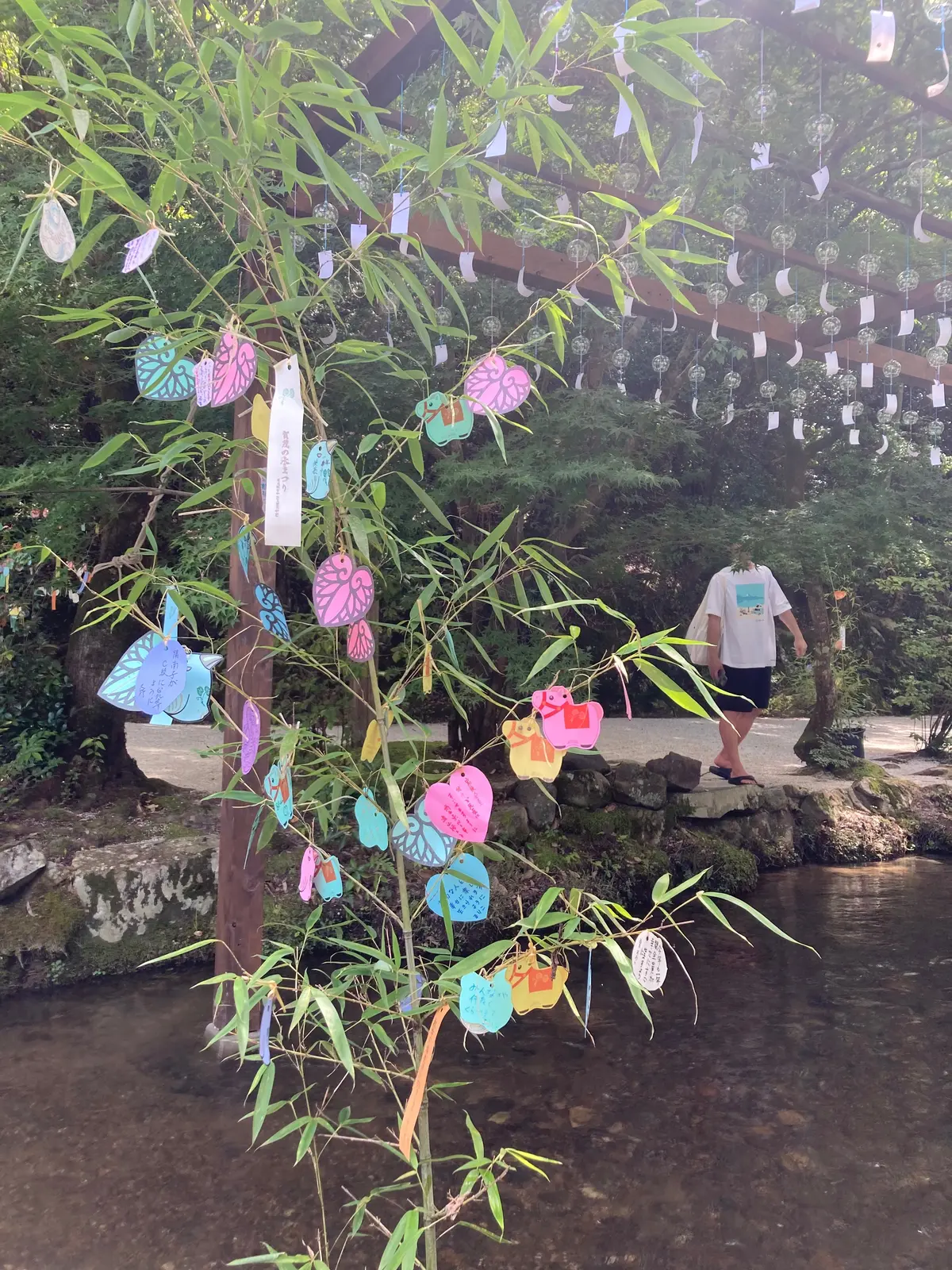 【京都・世界遺産・特別公開】上賀茂神社での画像_7