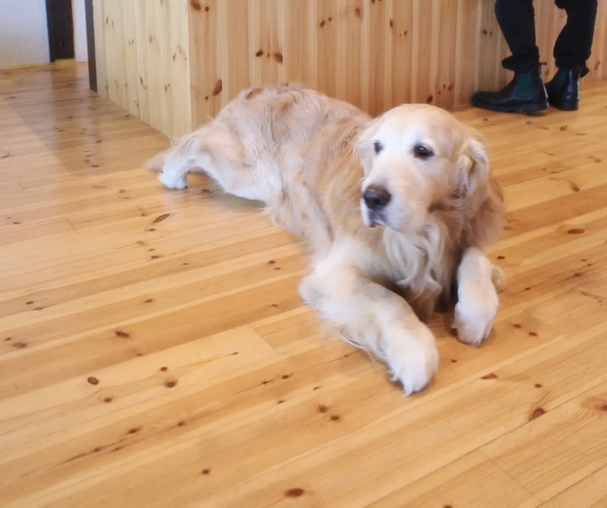 仁之助コーヒー　近衛八幡