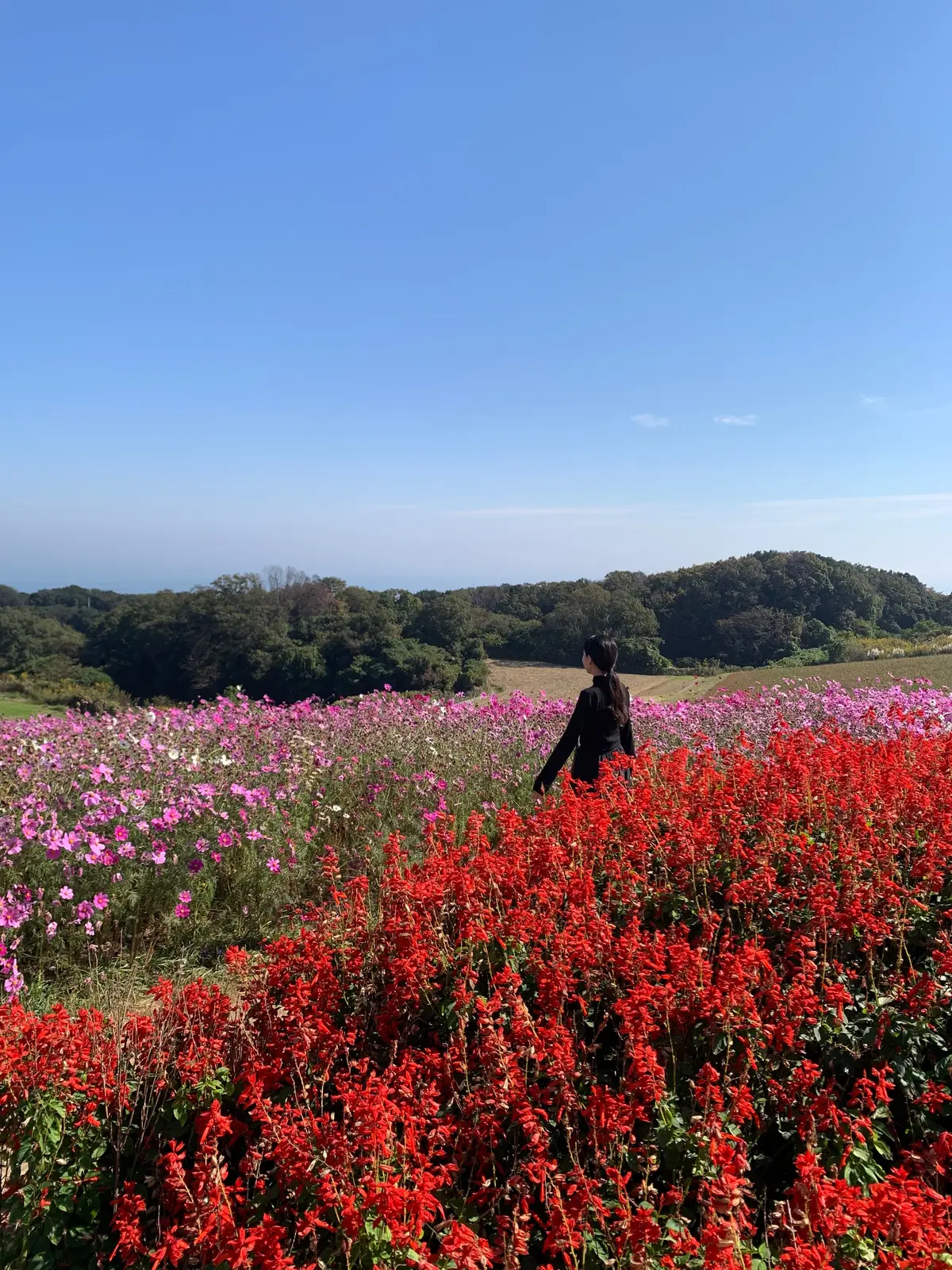 【淡路島】日帰り旅おすすめコース🥰の画像_4