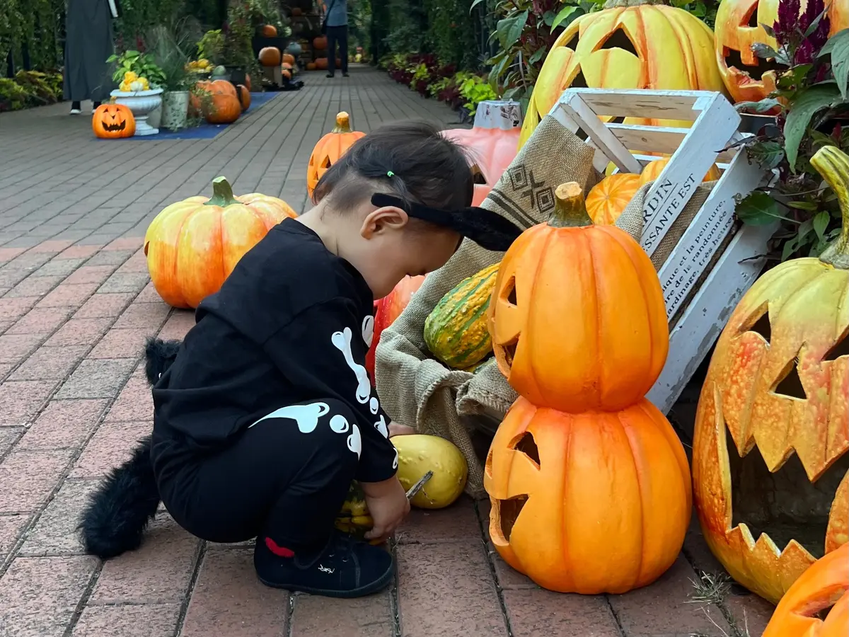 ハロウィン装飾