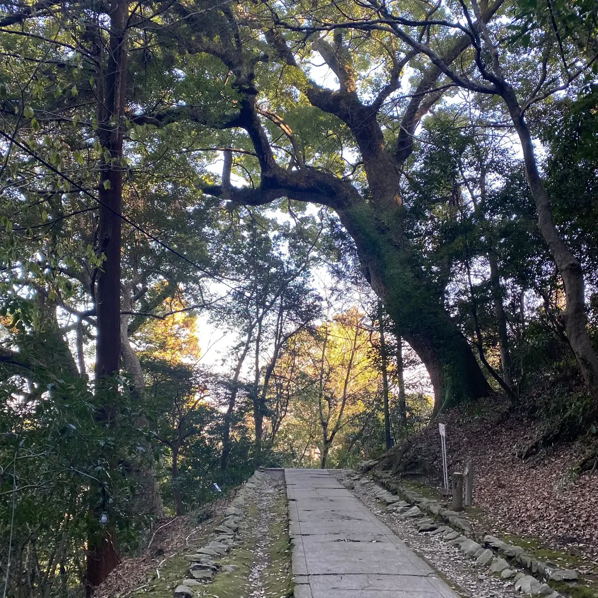 長い石段