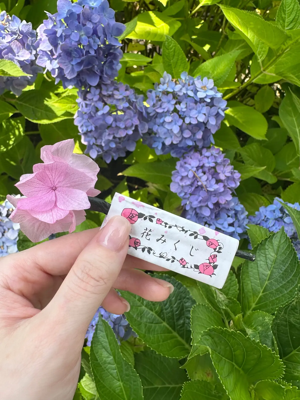 柳谷観音楊谷寺 花みくじ