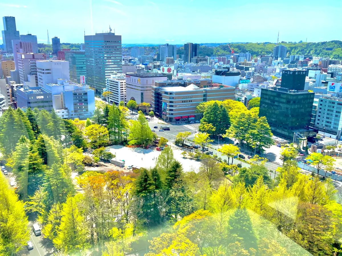 宮城県庁　勾当台公園　展望