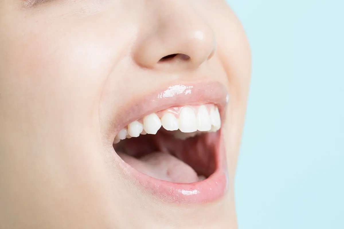 歯を口のイメージ