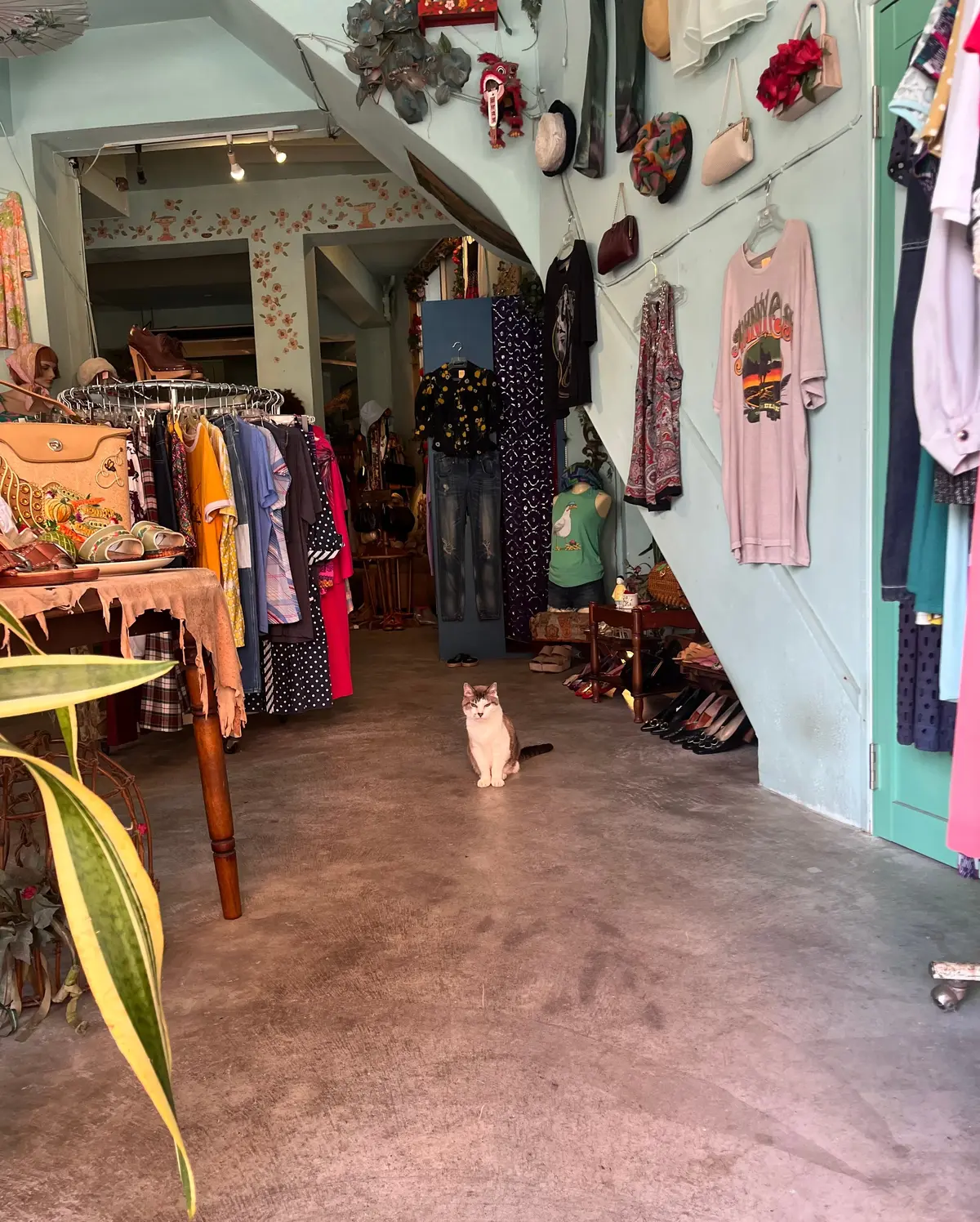 【沖縄｜那覇】まるでPinterestのの画像_2