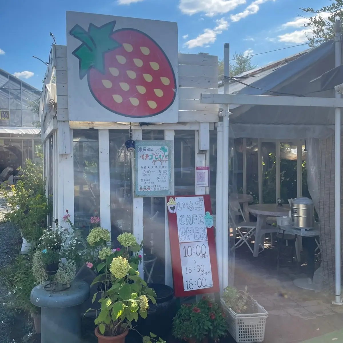 【山梨】フルーツ好き必見♡土方洋蘭園「イの画像_5