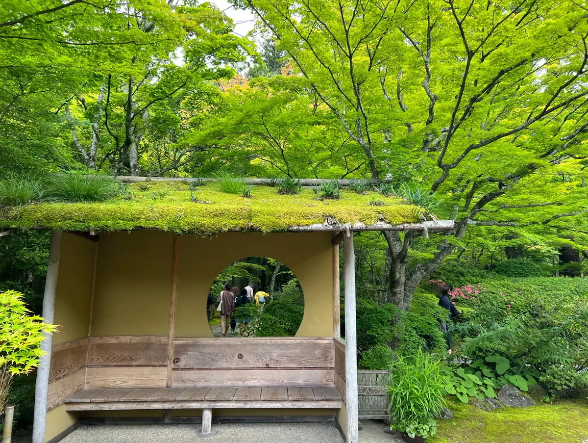 【日本三景】絶景！絶品！松島で楽しむおすの画像_1