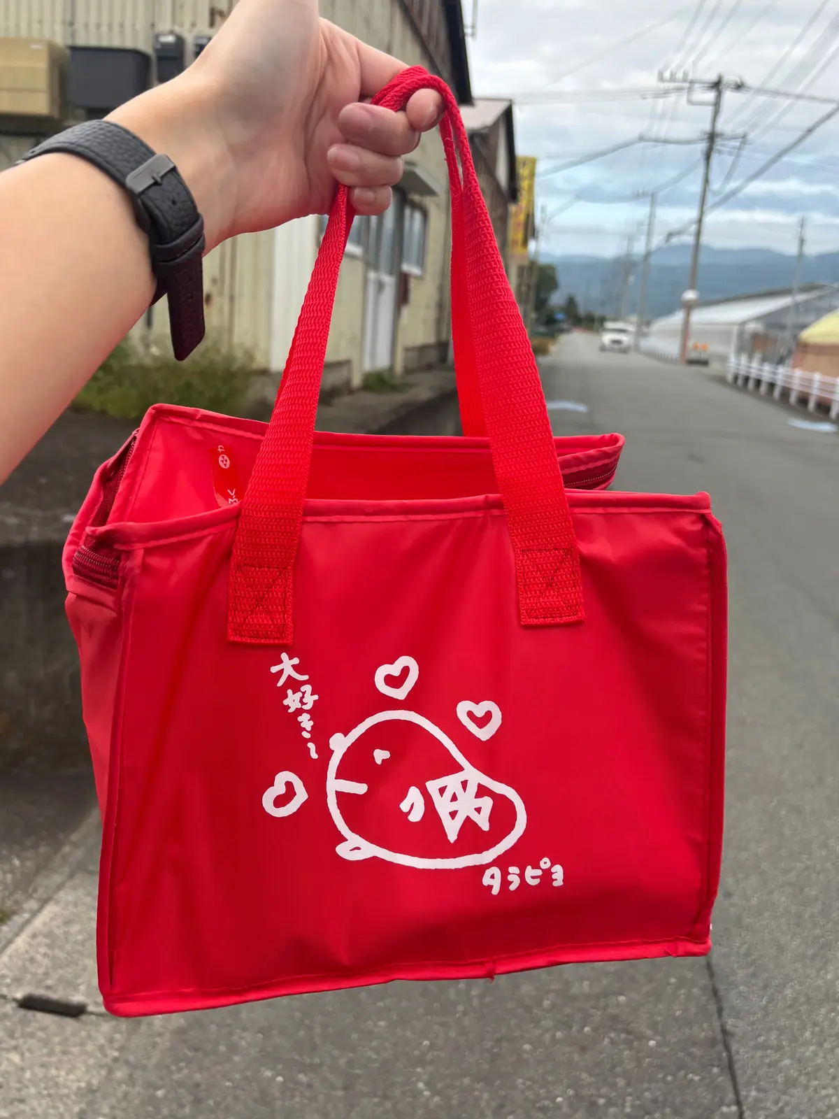 【静岡/伊豆】絶対行きたい！大人も楽しいの画像_14