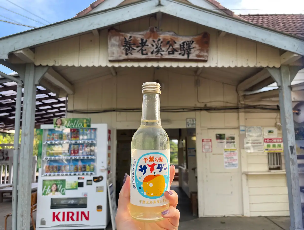 千葉ご当地サイダー　なしサイダー　養老渓谷駅前