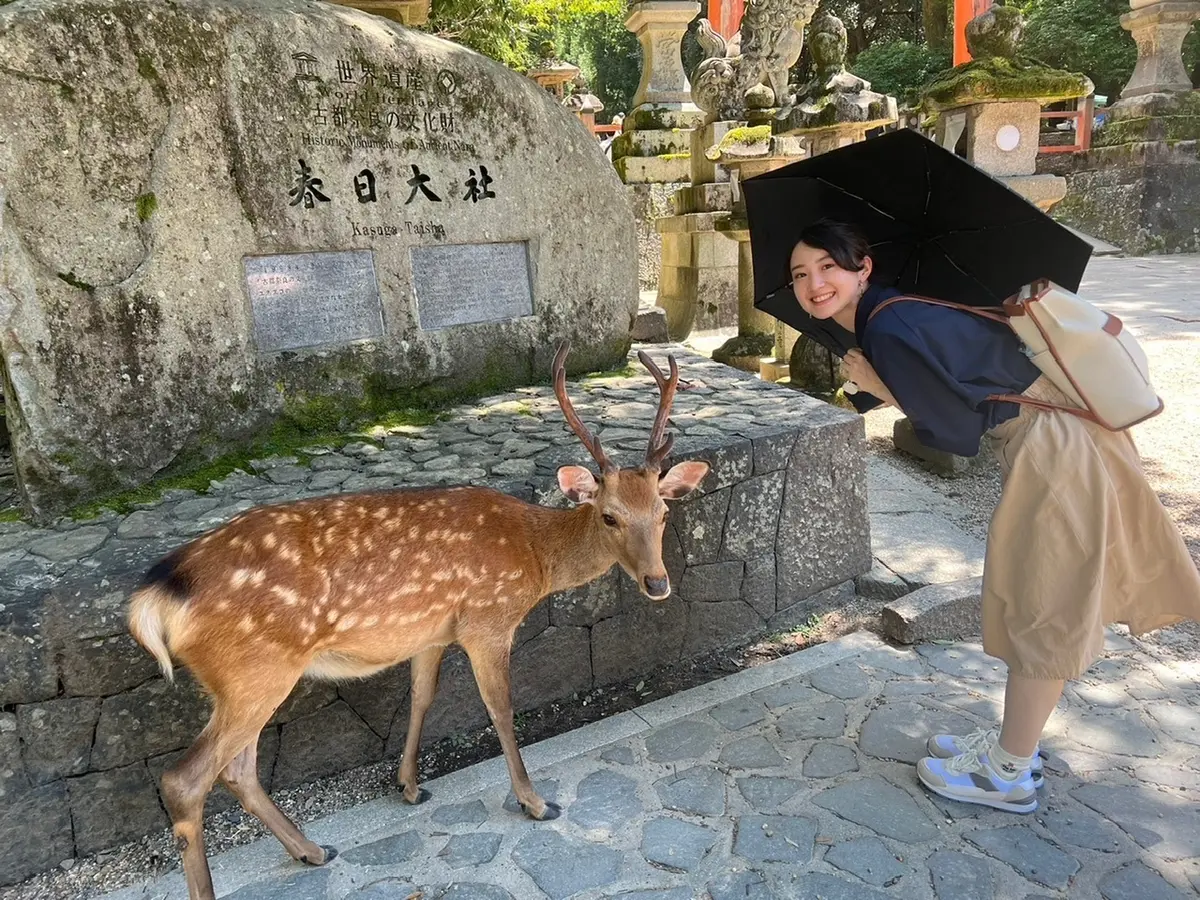 奈良公園の鹿と縁結び：春日大社〈夫婦大国社〉で良縁祈願と幸福な絆 | MORE