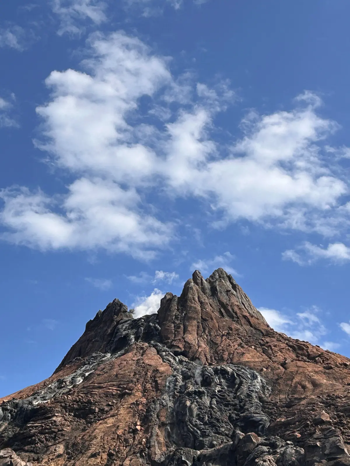 【ディズニーシー】今年もやってきた〜🥂最の画像_8