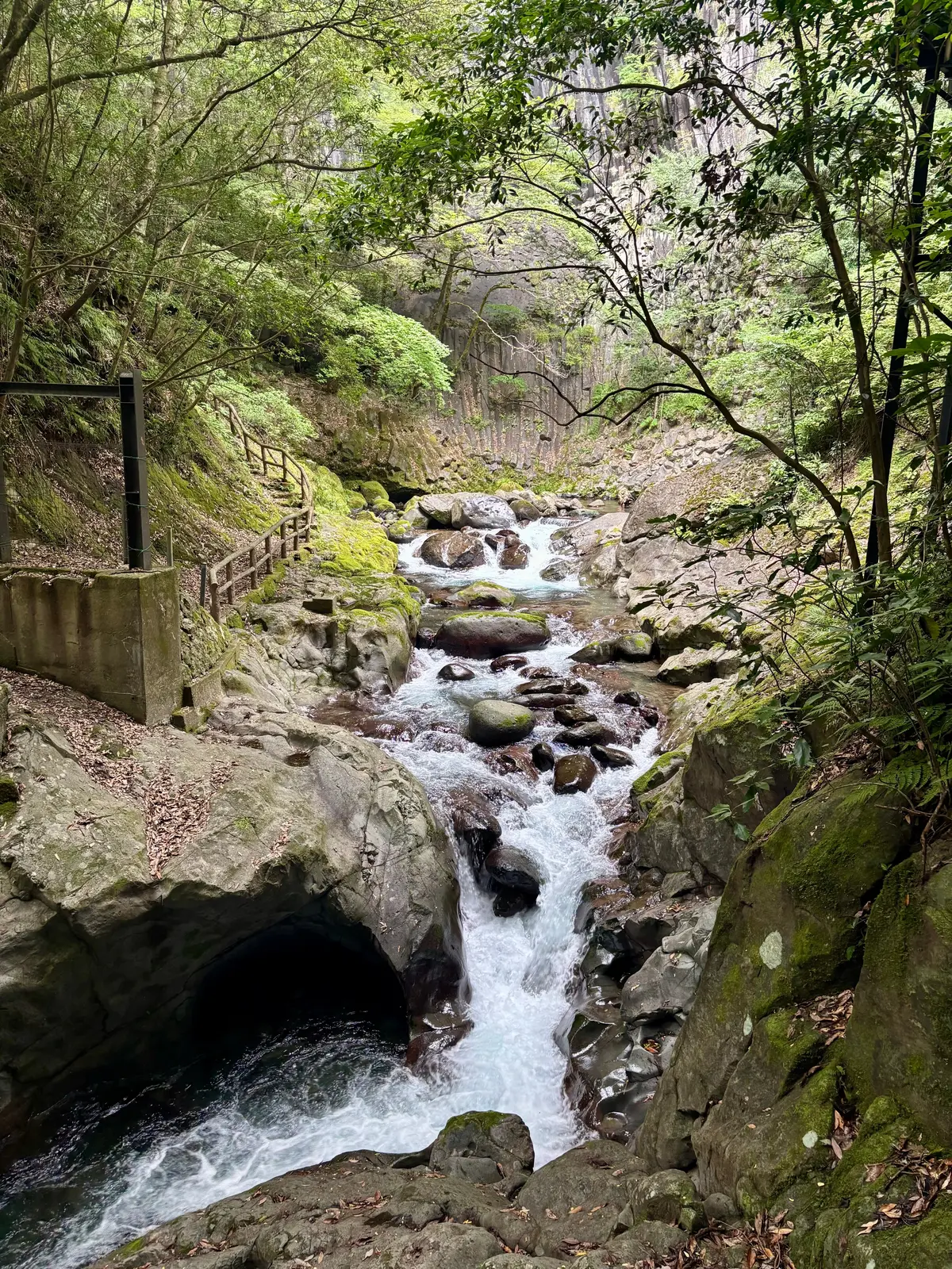 【静岡/河津】この夏行きたい、有名観光スの画像_5