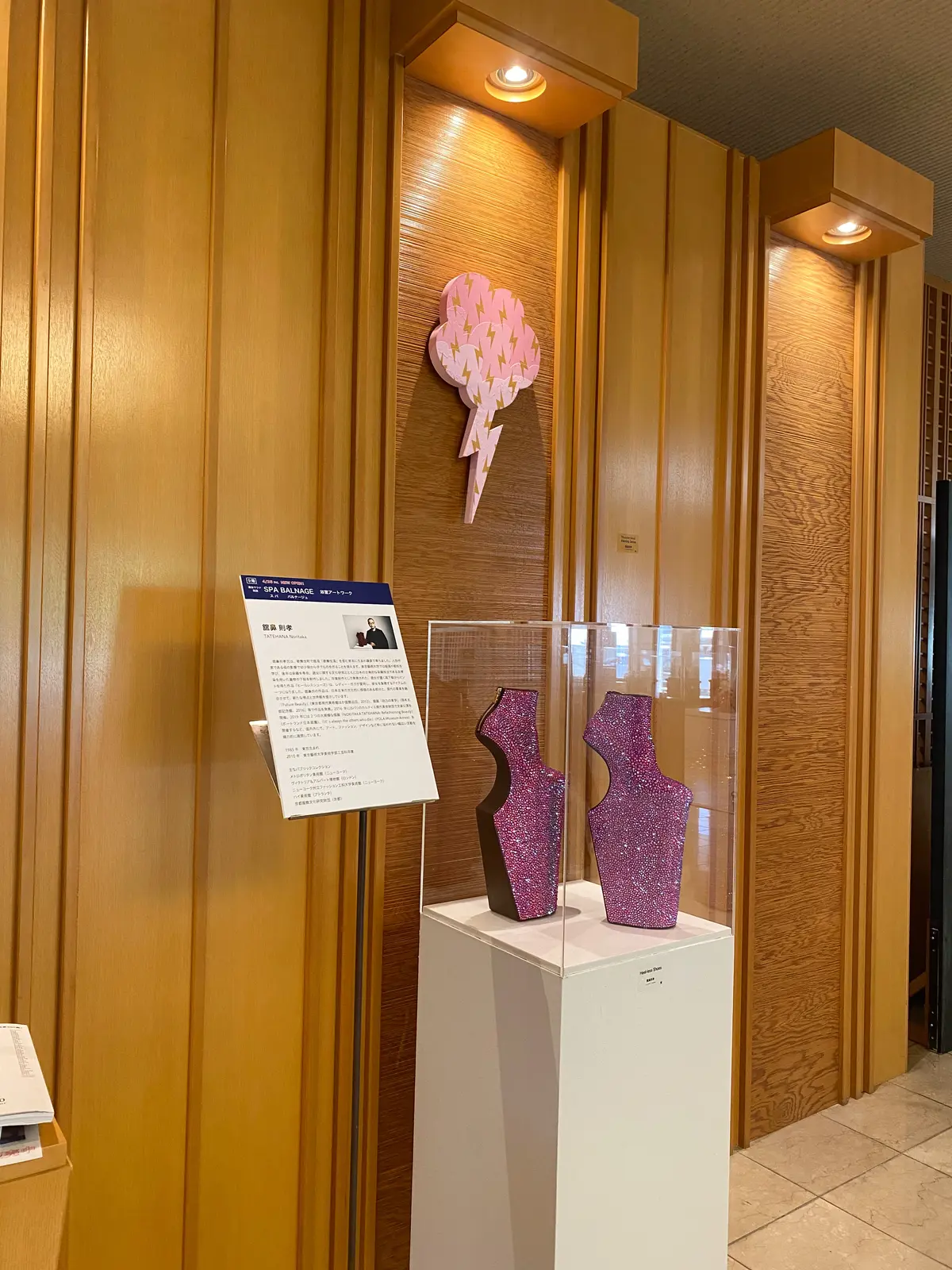 【富山｜魚津】現代アート×スパが融合したの画像_3