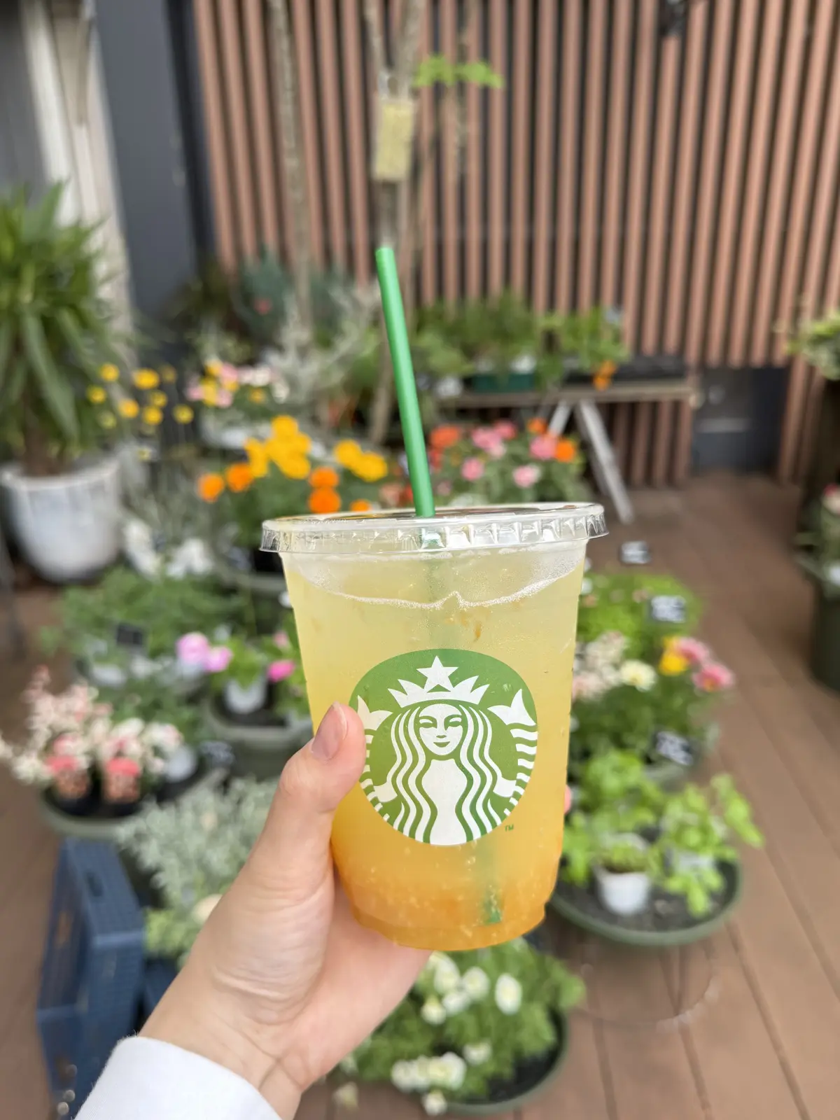 スタバ チラックスソーダ