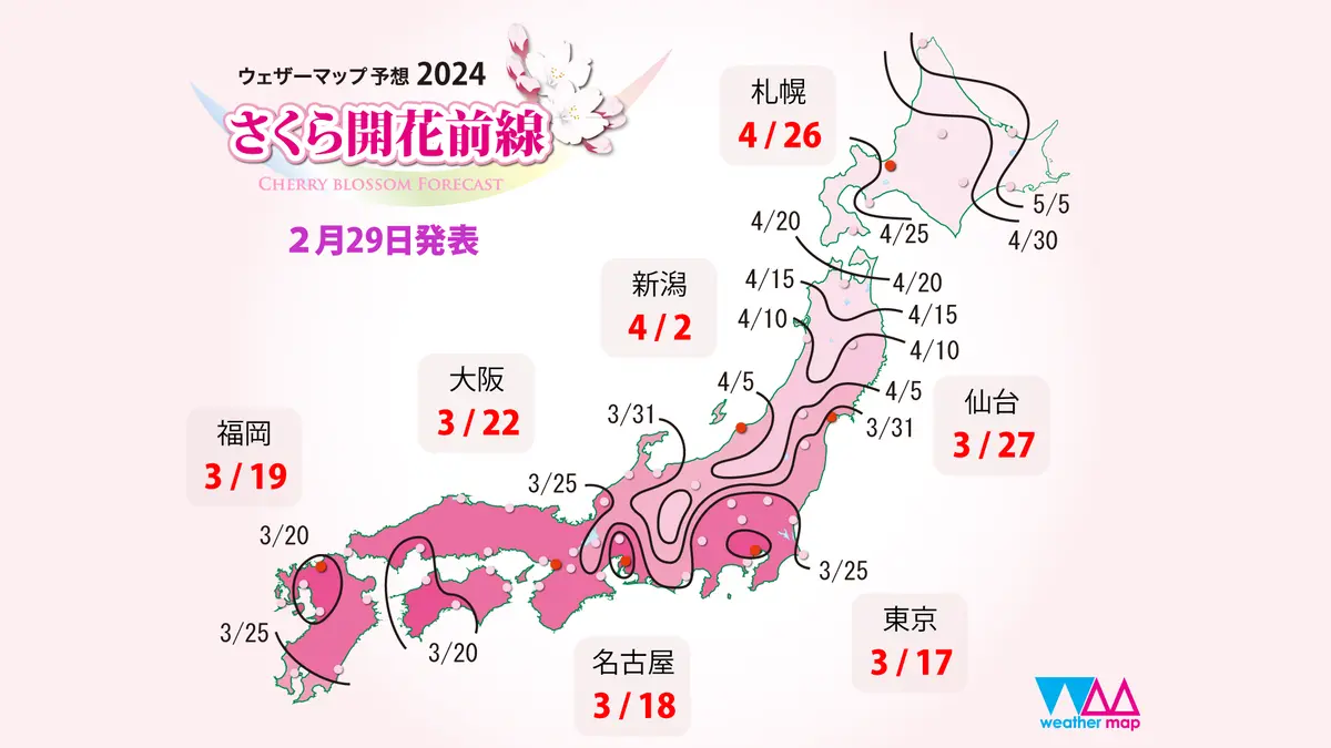 さくら開花予想2024