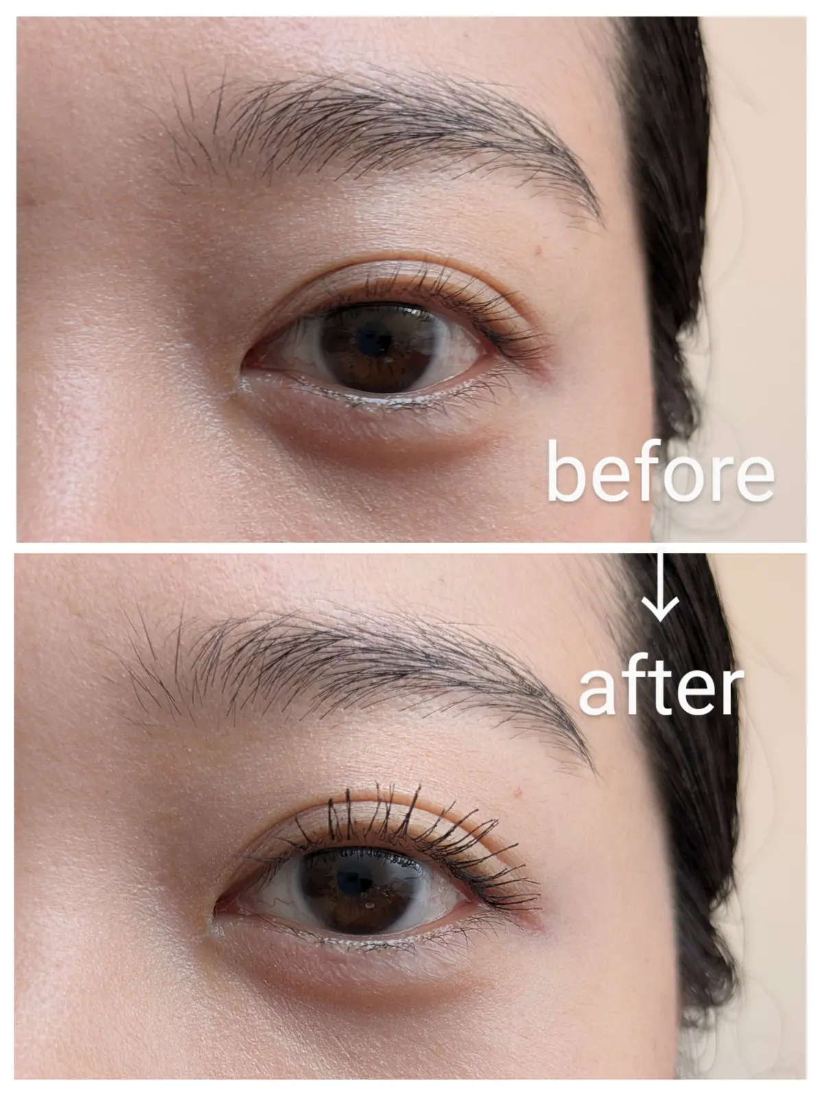 プチプラ美容家電【ドン・キホーテ限定】ホの画像_3