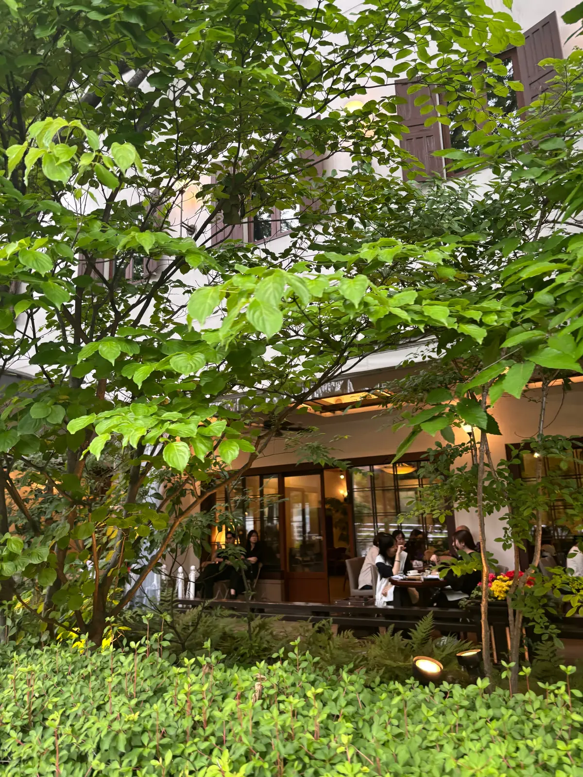 【乃木坂】憧れの休日カフェ！テラス席で味の画像_2