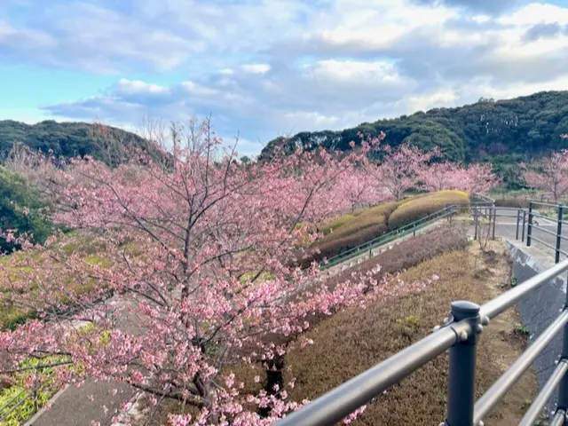 【長崎】ウォーキングやお散歩にオススメ！の画像_1