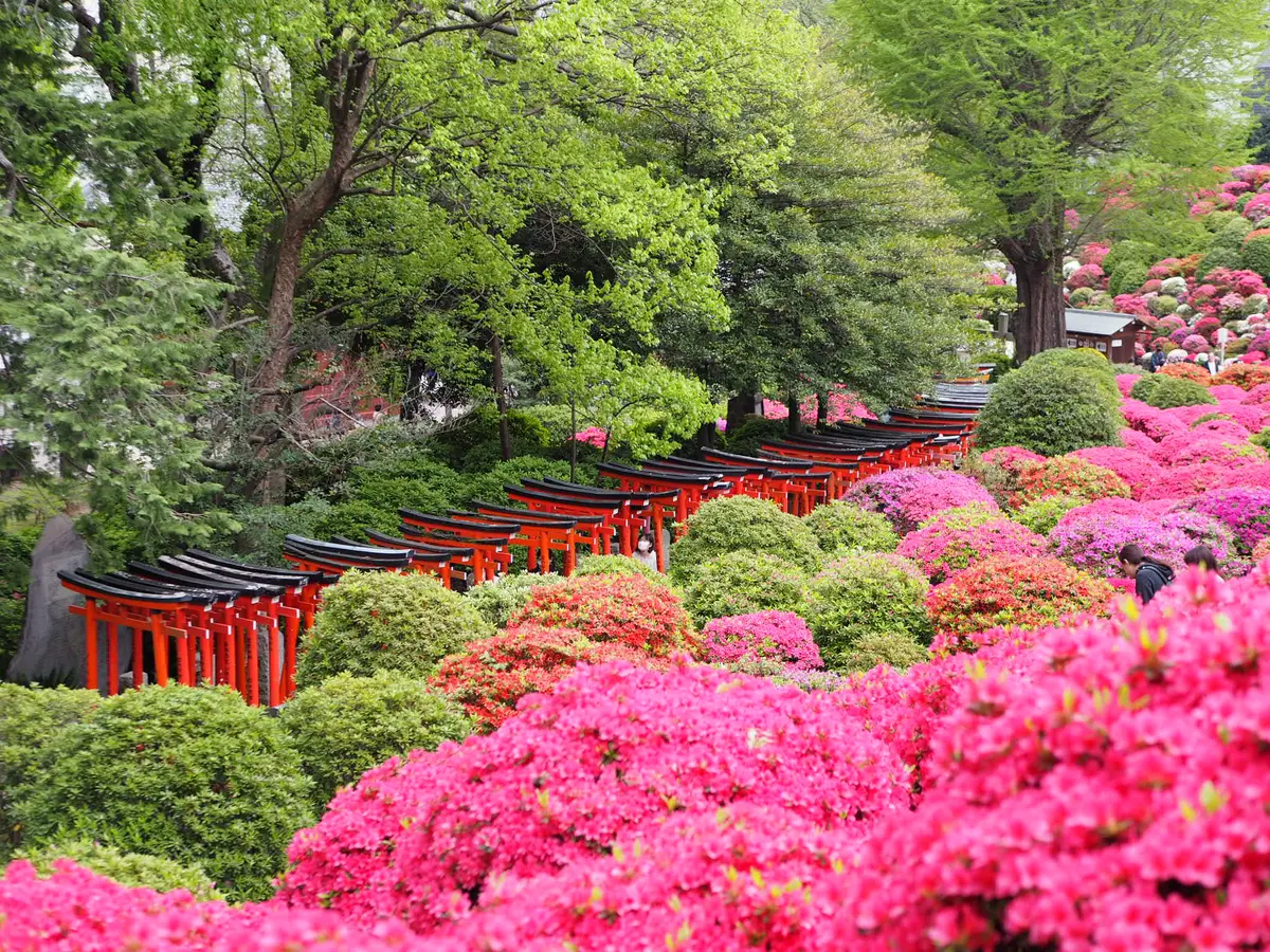 ピンク×緑×鳥居の絶景！今月のお出かけはの画像_2