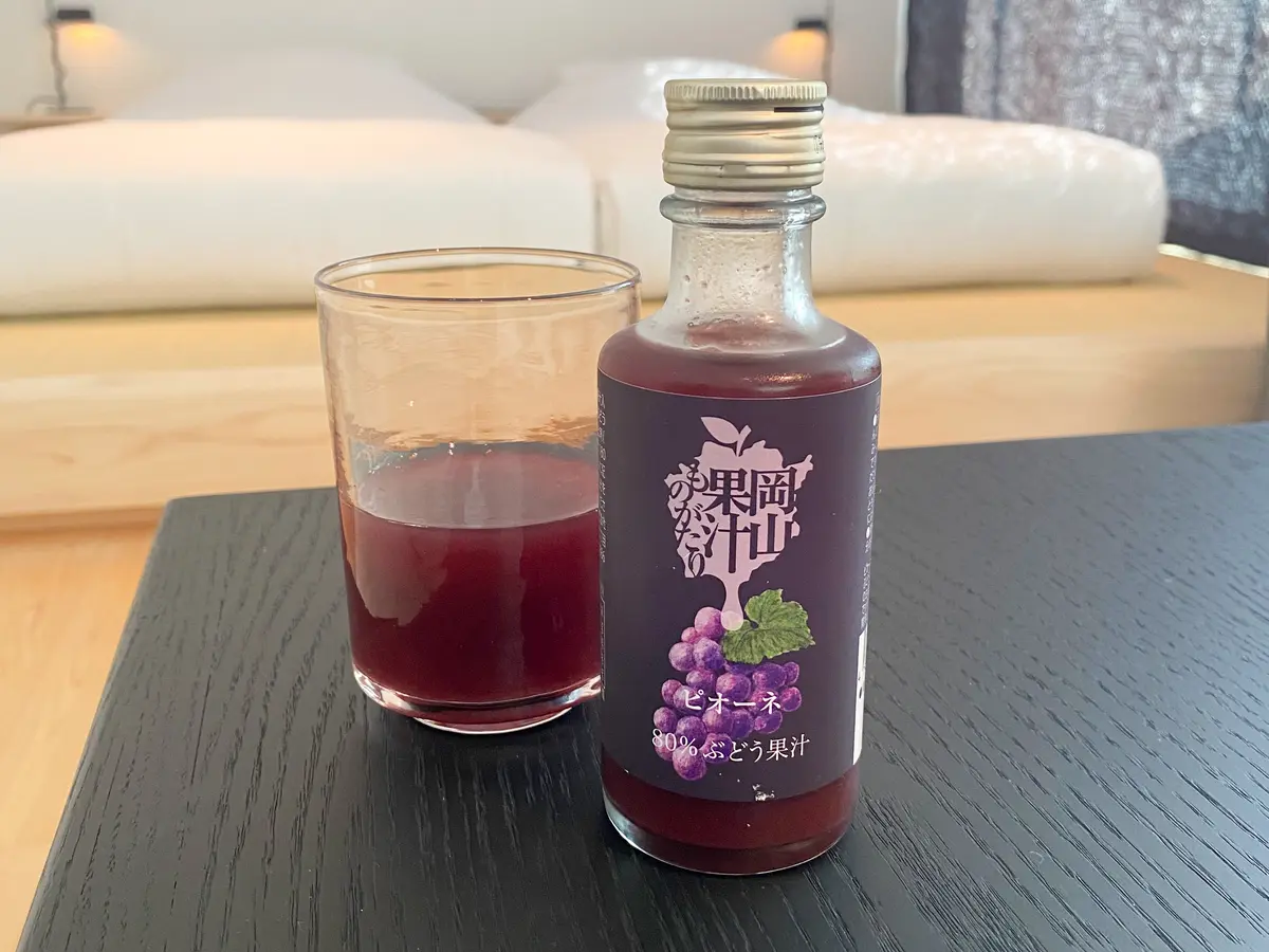 【岡山｜倉敷ホテル】おこもりステイにもぴの画像_23