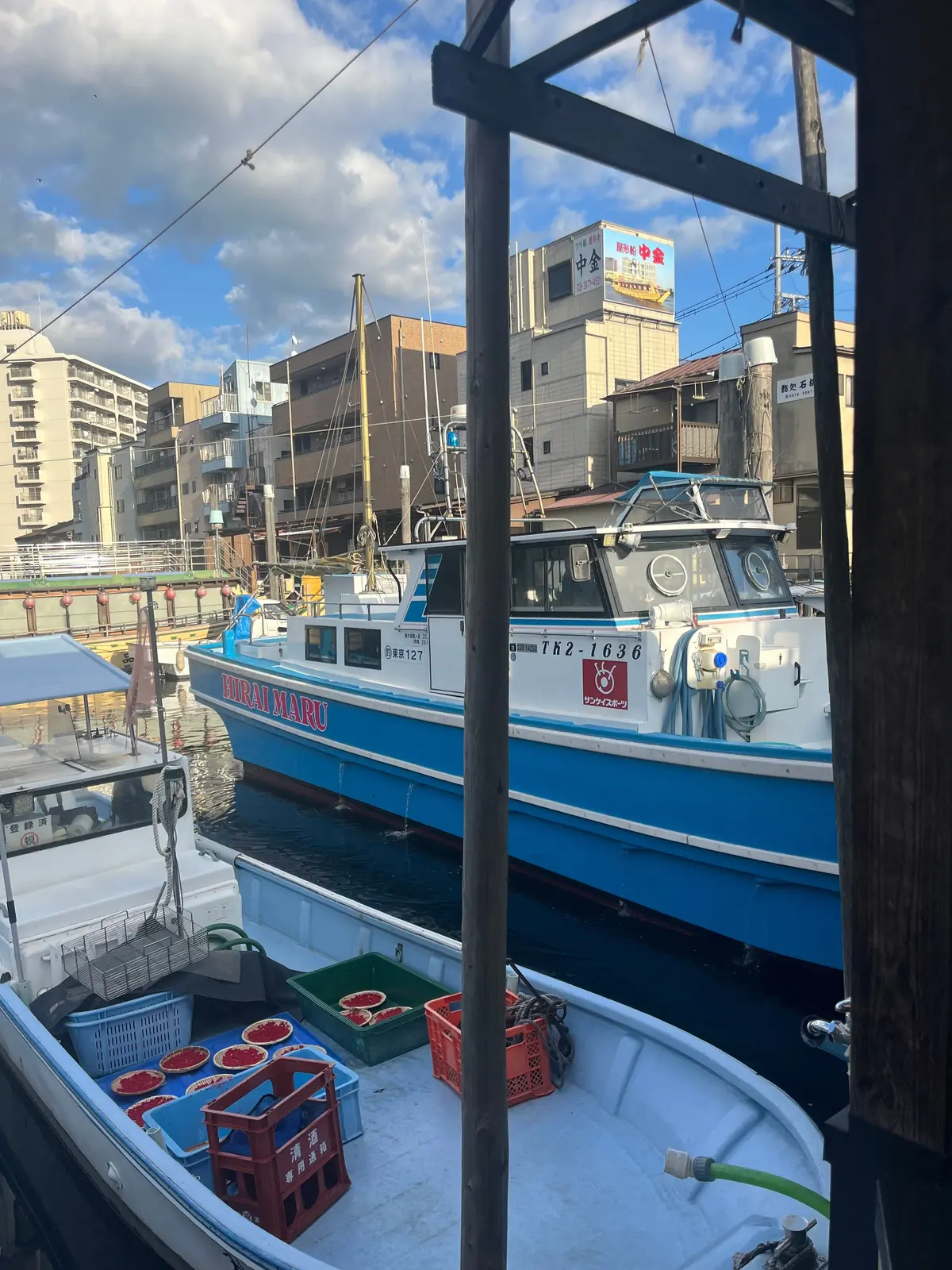 【千葉・木更津】東京発！初心者におすすめの画像_6