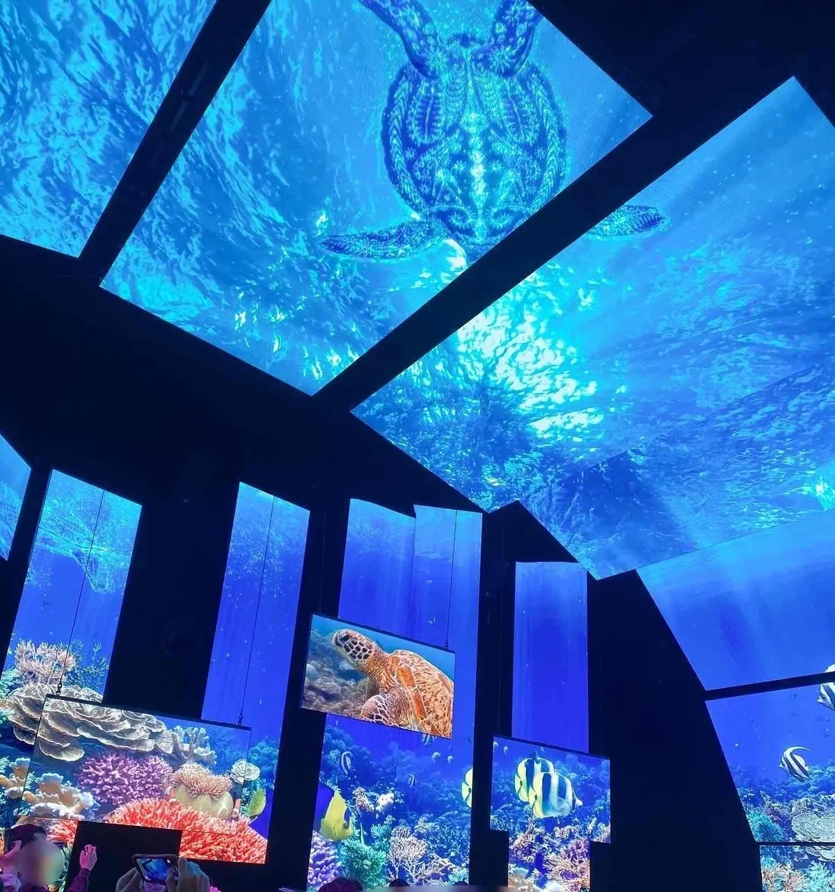 大阪万博　オーストラリア　MOREJAPAN