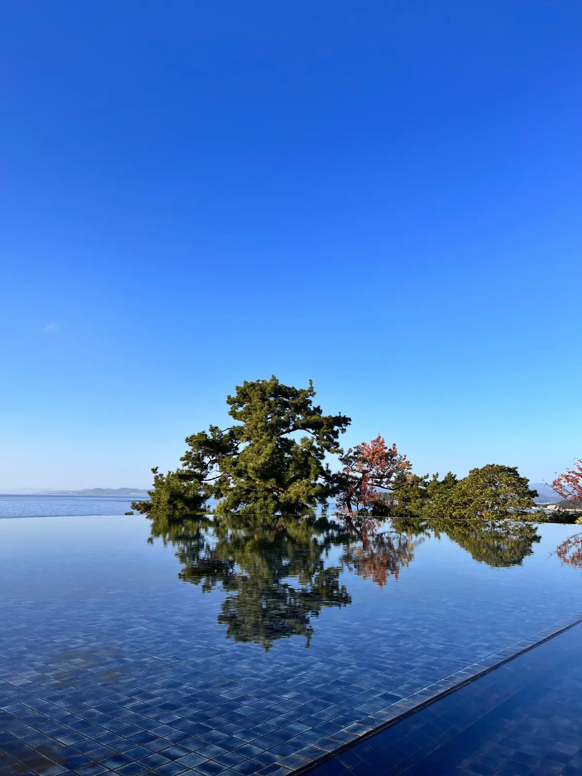 【和歌山｜白浜】グルメと絶景を楽しむ！日の画像_12