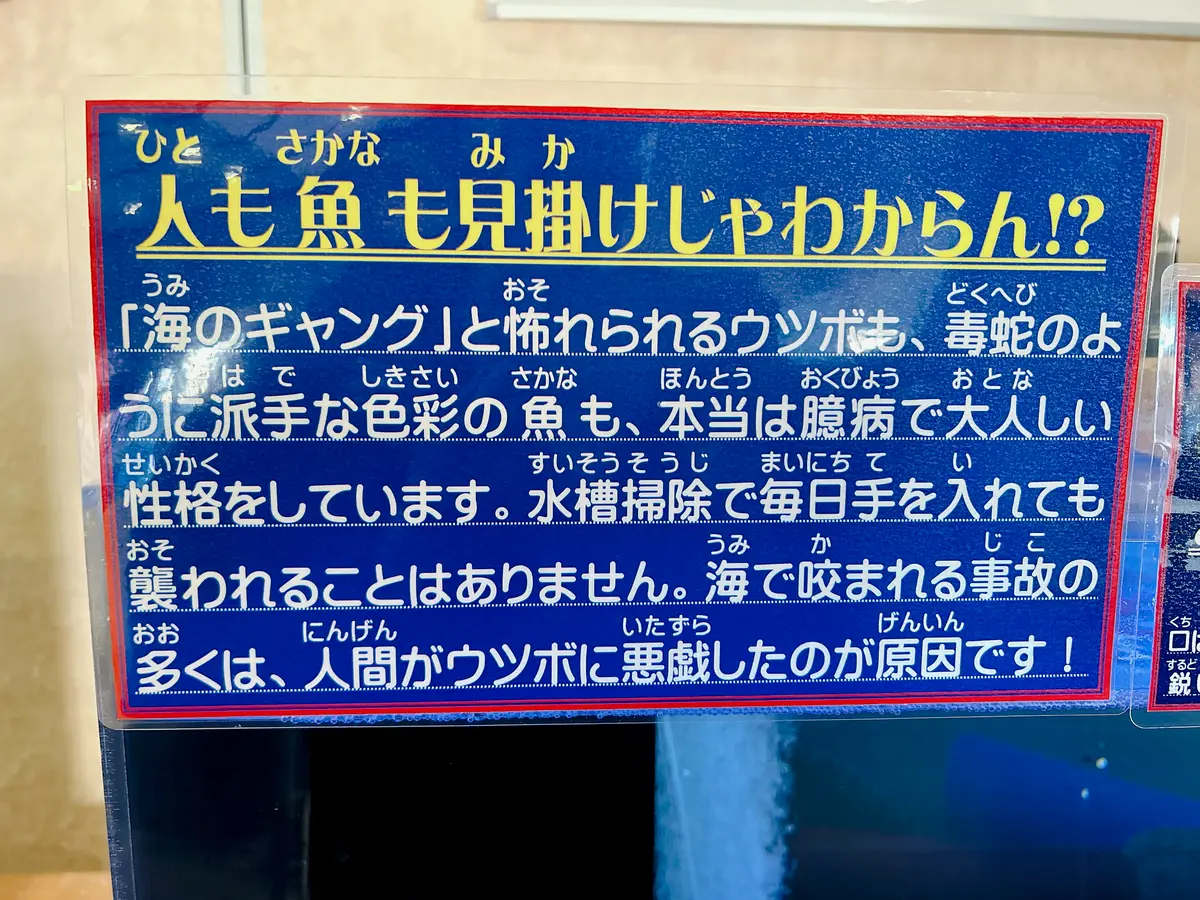 【鳥取】読んだら絶対行きたくなる！大満喫の画像_38