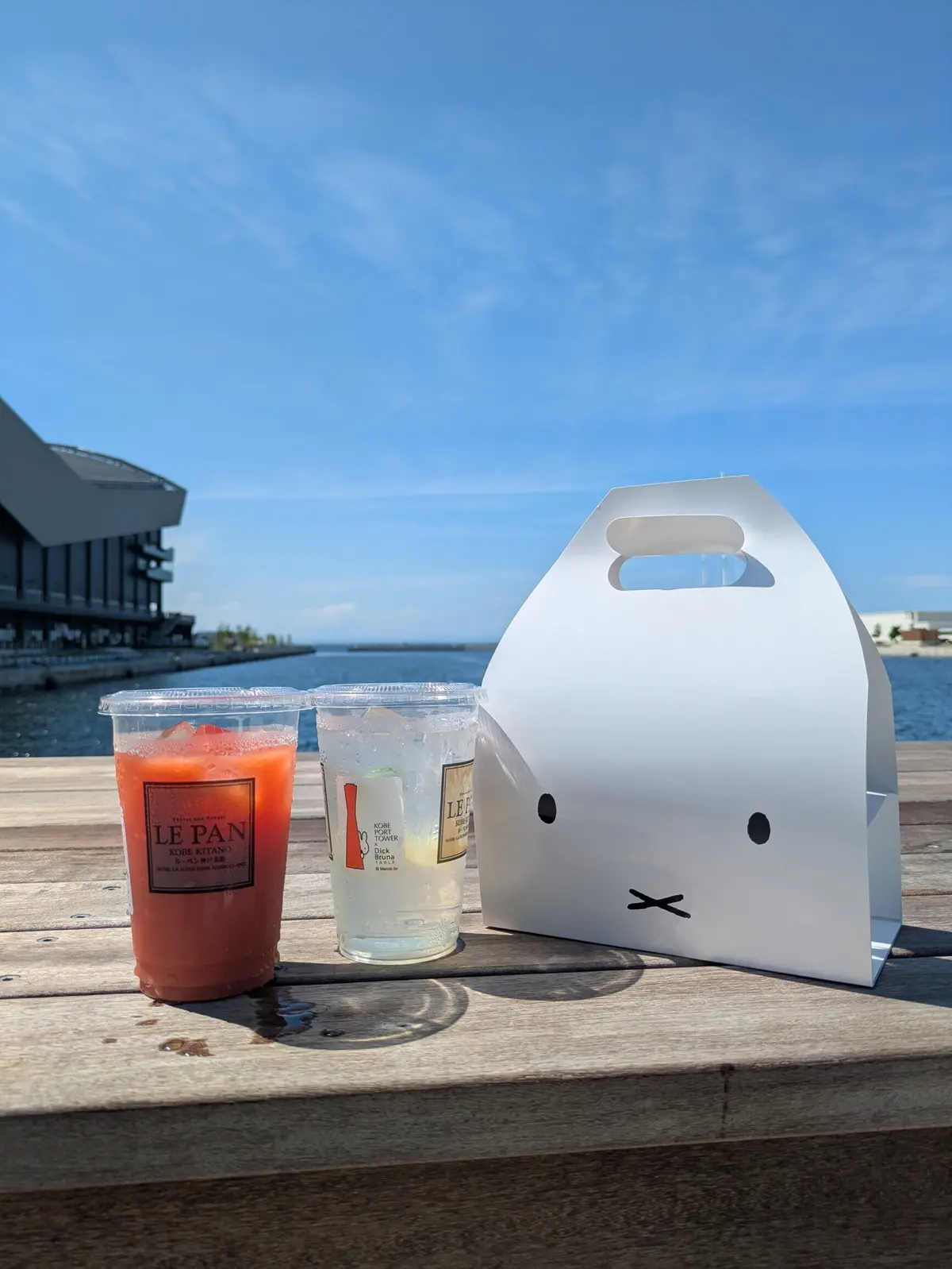 ≪兵庫県・神戸≫神戸ウォーターフロントエの画像_2