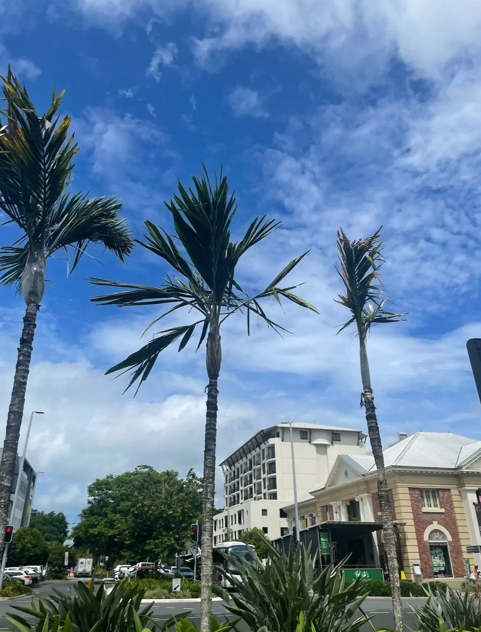 【オーストラリアケアンズ】海外旅行初心者の画像_1