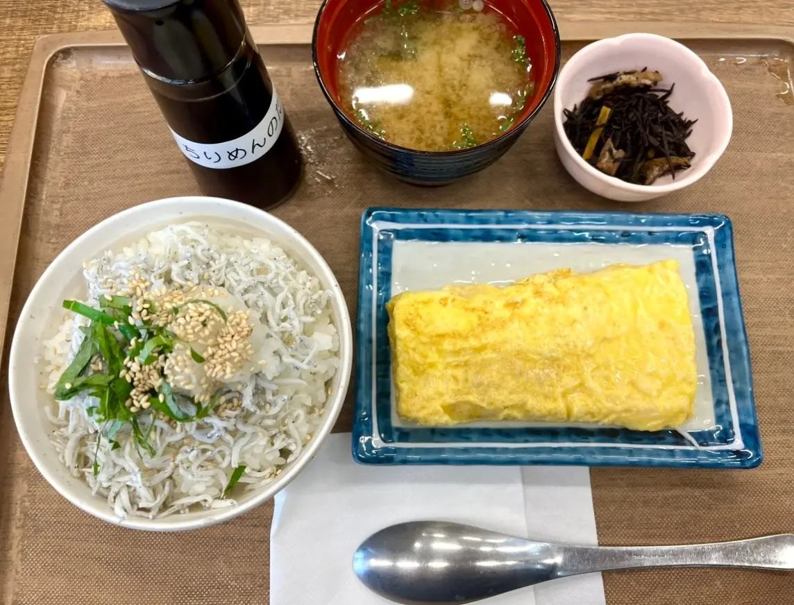 高知県_ごはん家ハレタ_朝食_ちりめん丼朝食