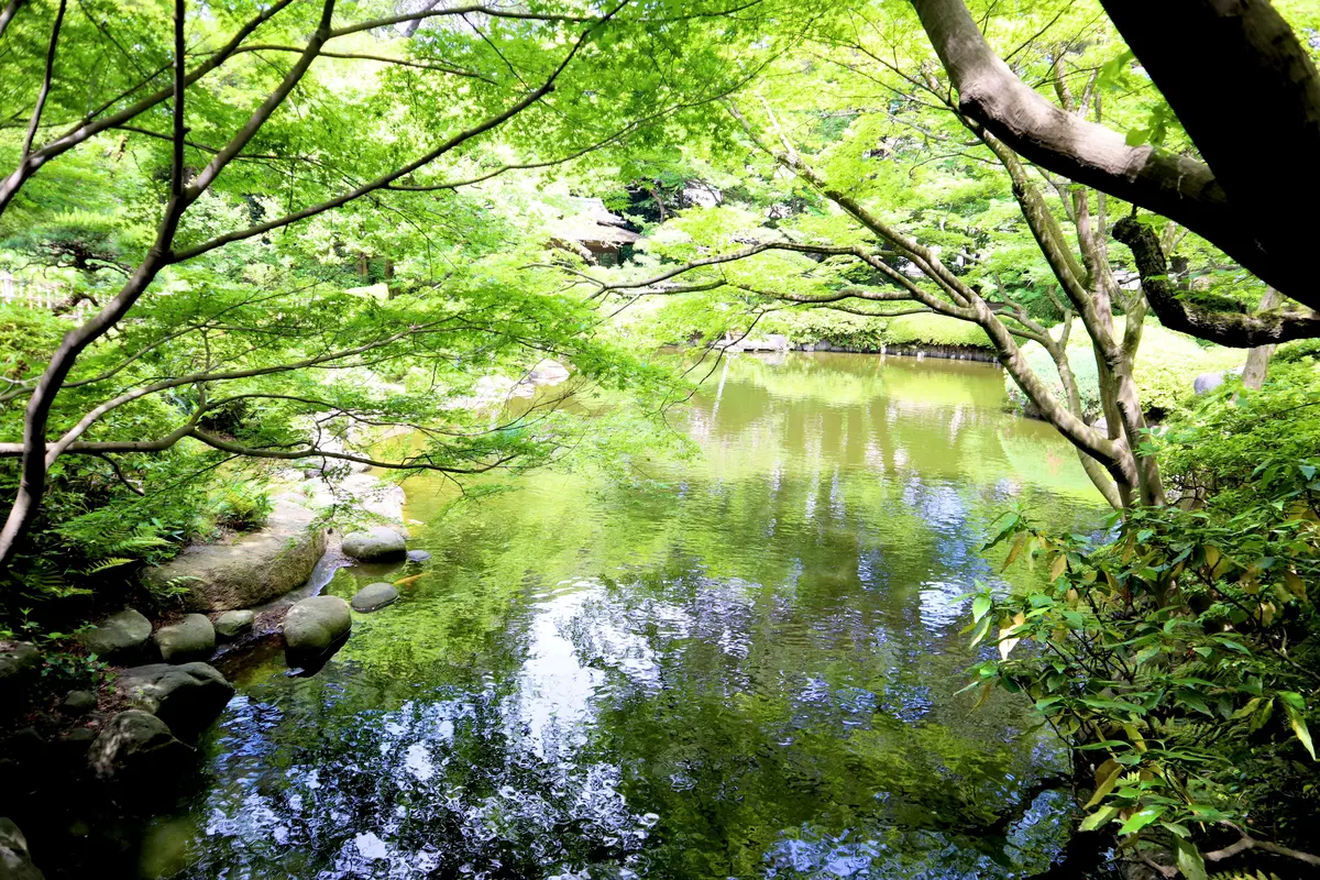 【東京都】庭園美術館をご紹介！の画像_2