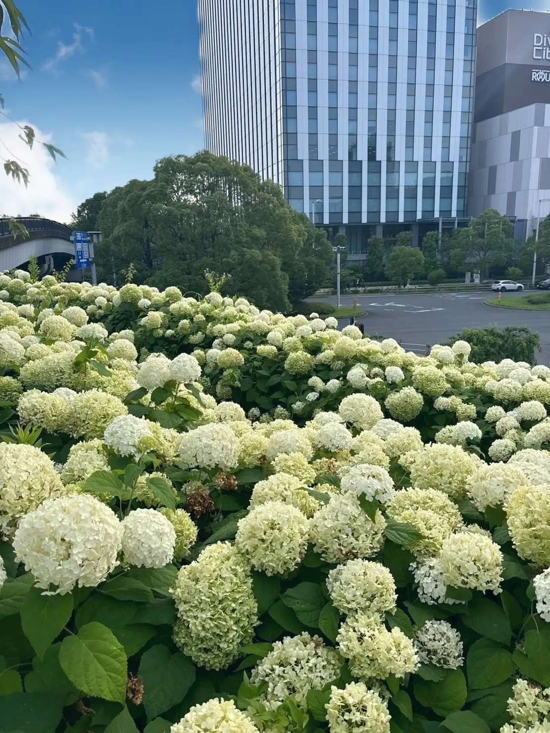 【梅雨のおでかけに】お台場の穴場“出会いの画像_5