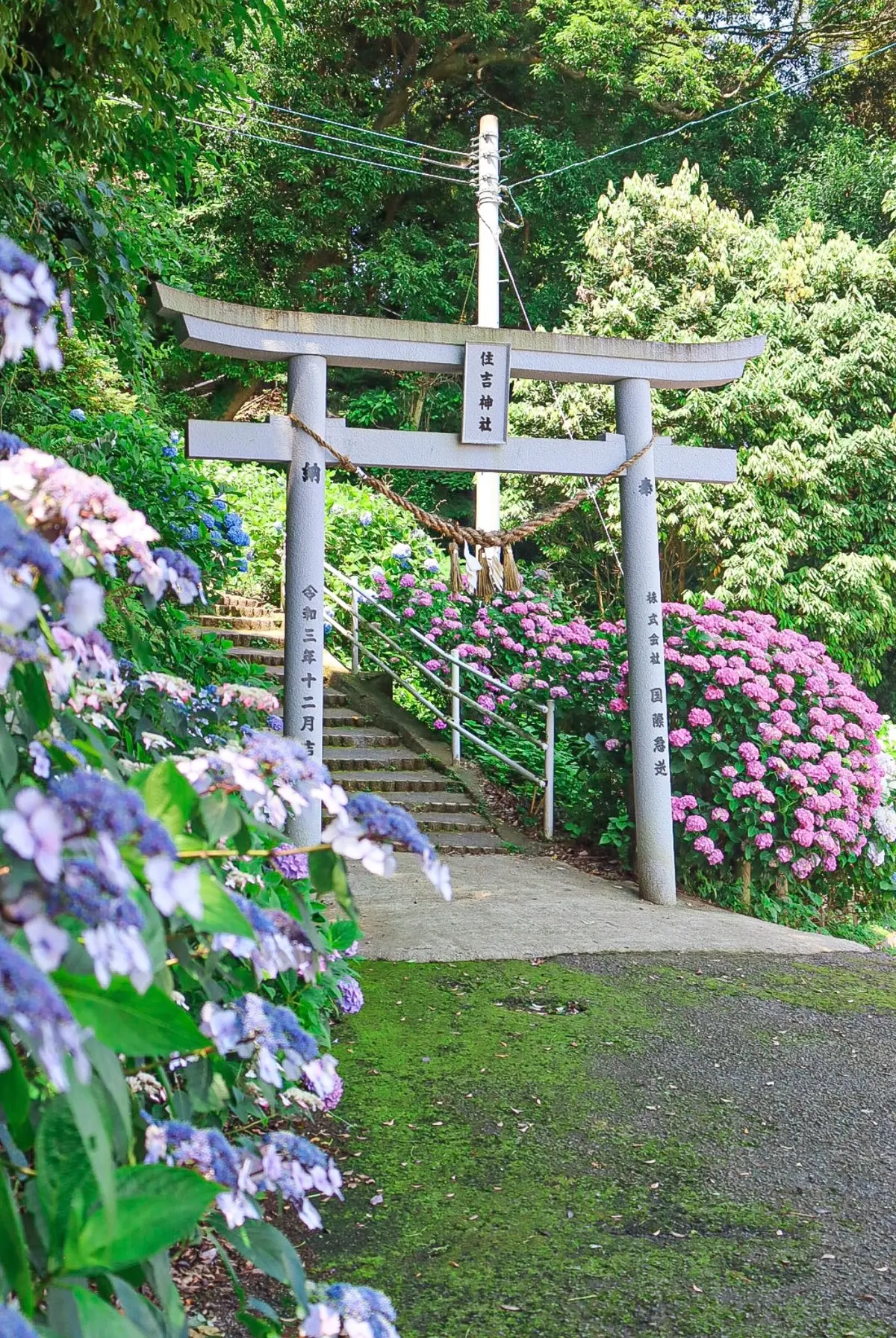 【熊本観光】日本で一番フォトジェニックなの画像_8