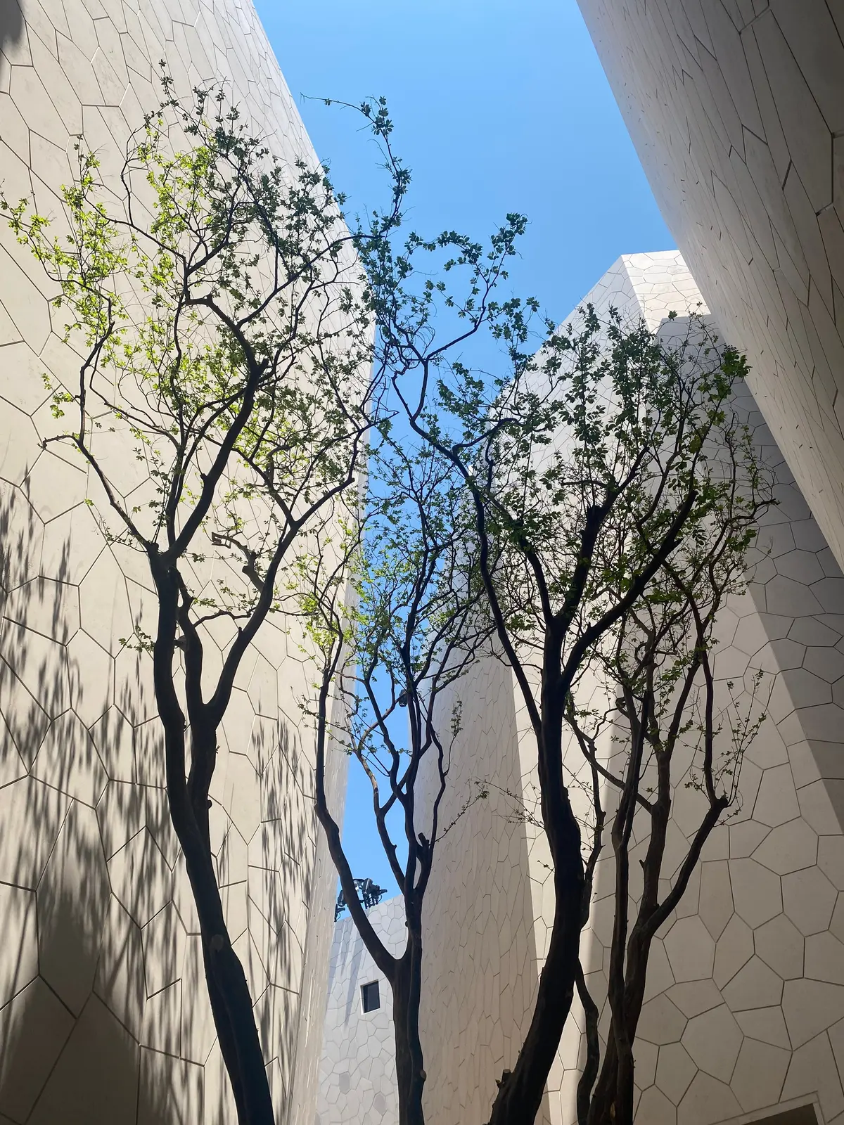 サウジアラビア館