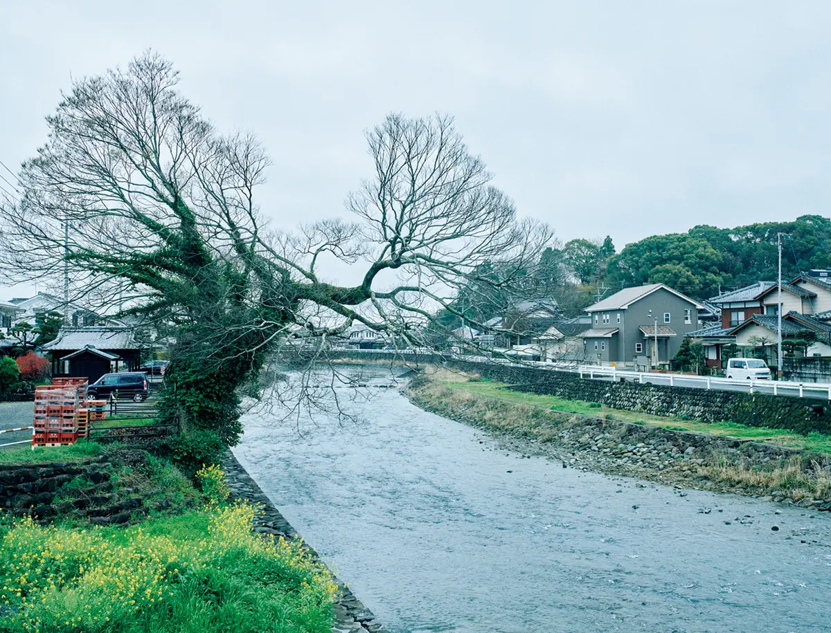 佐賀・鹿島の風景