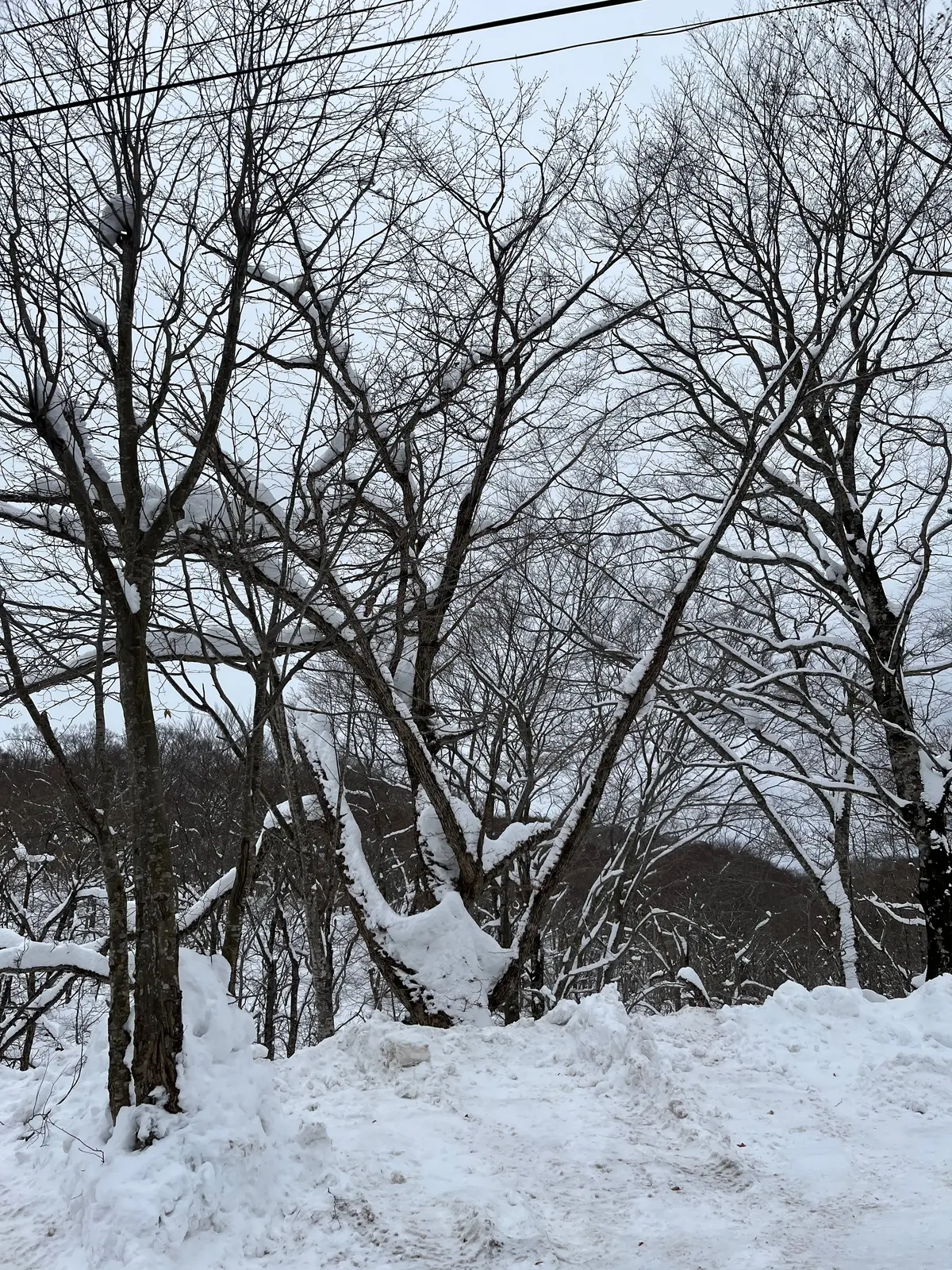 【秋田】憧れの秘湯！白銀の