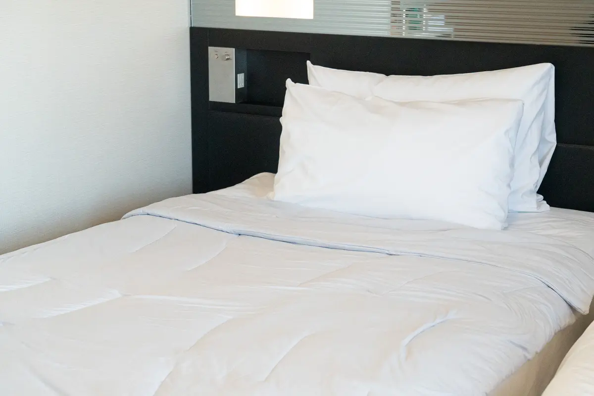 【使ってみた】夏の睡眠の新常識！夏用肌掛の画像_1