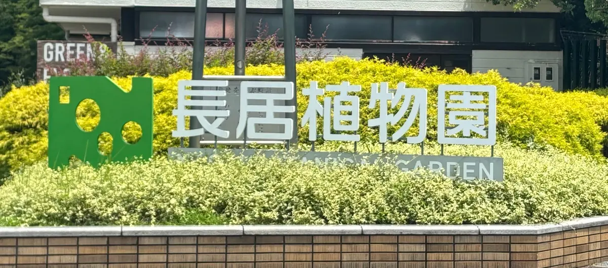 【映えスポットあり！】1万株のあじさいがの画像_2