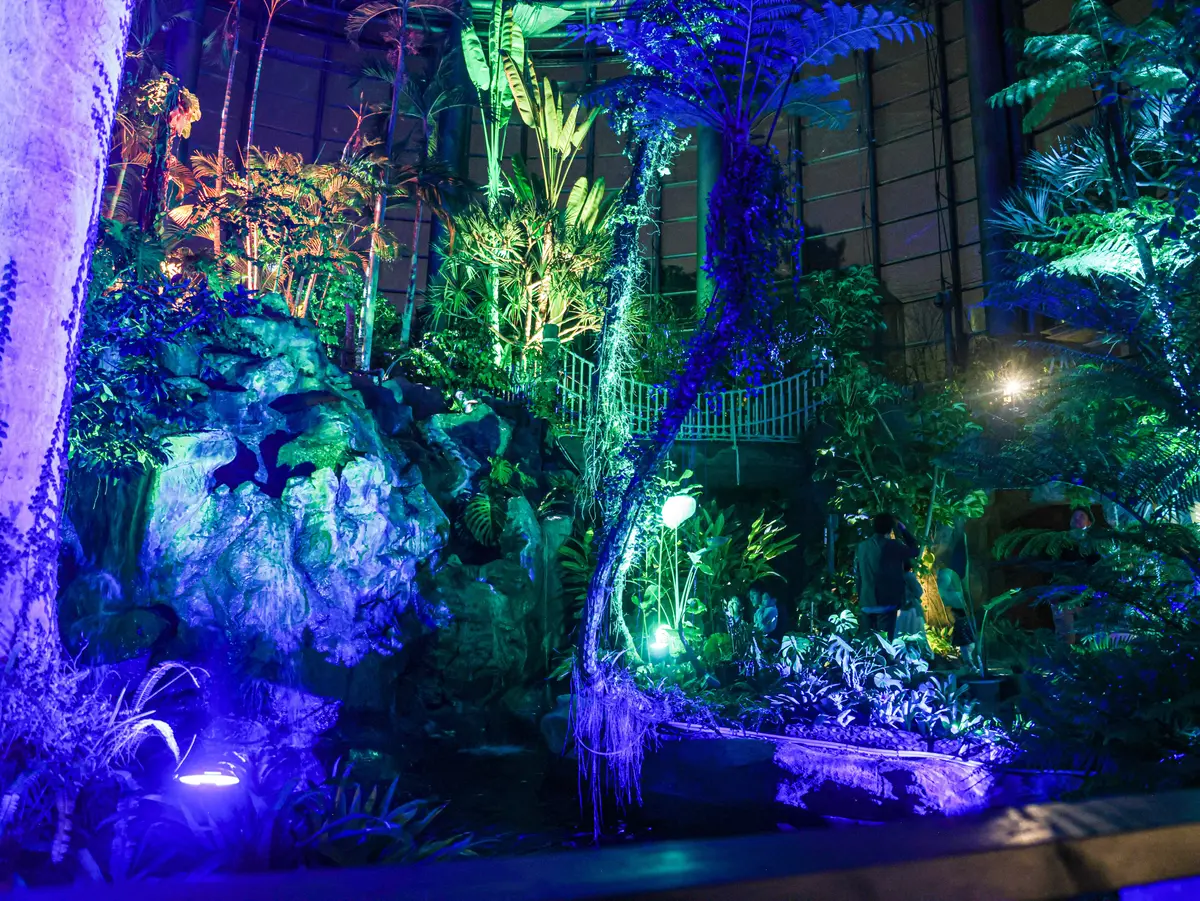 ■ 夜間営業スタート！幻想的なライトアップも必見