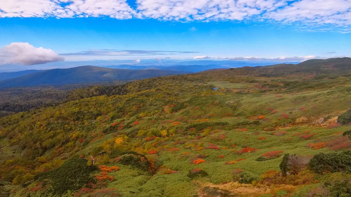 日本で最も早く紅葉が訪れる場所　旭岳　紅葉　北海道