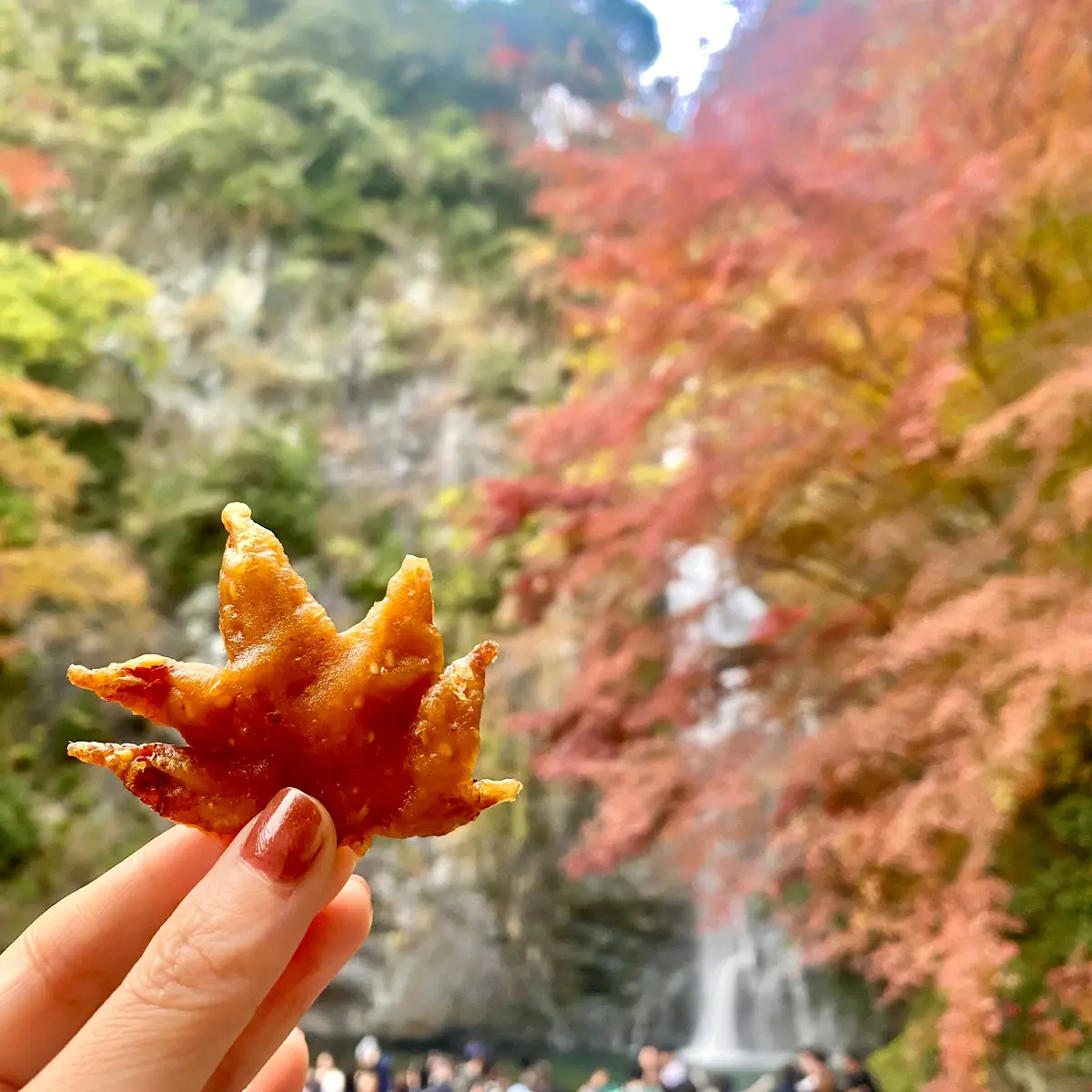 もみじの天ぷら